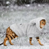 Warm Cat Clothes Winter Pet Puppy